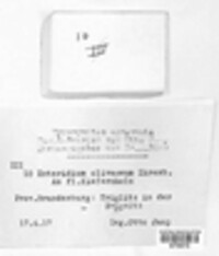 Image Associated With the Occurence